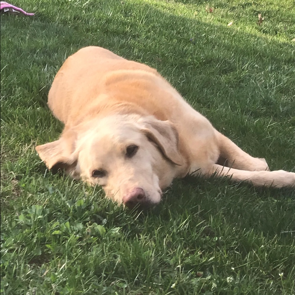 Meet your Posher, Kim